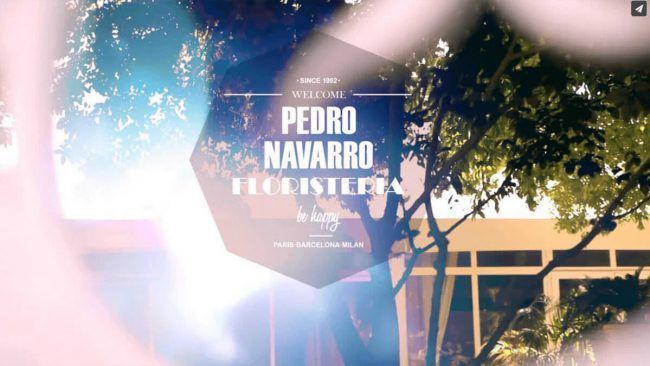 Wedding with umbrella decoration